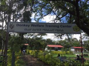 Donky Wellfare Center