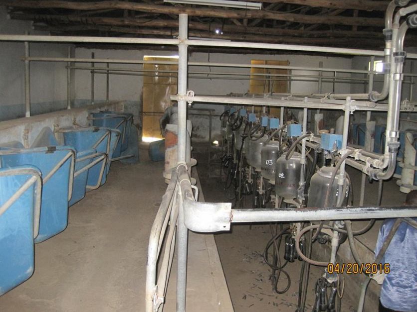 Modern milking parlour unused